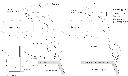 LMB-F1-Technical-Drawing.webp