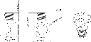 RA-01-Technical-Drawing.webp