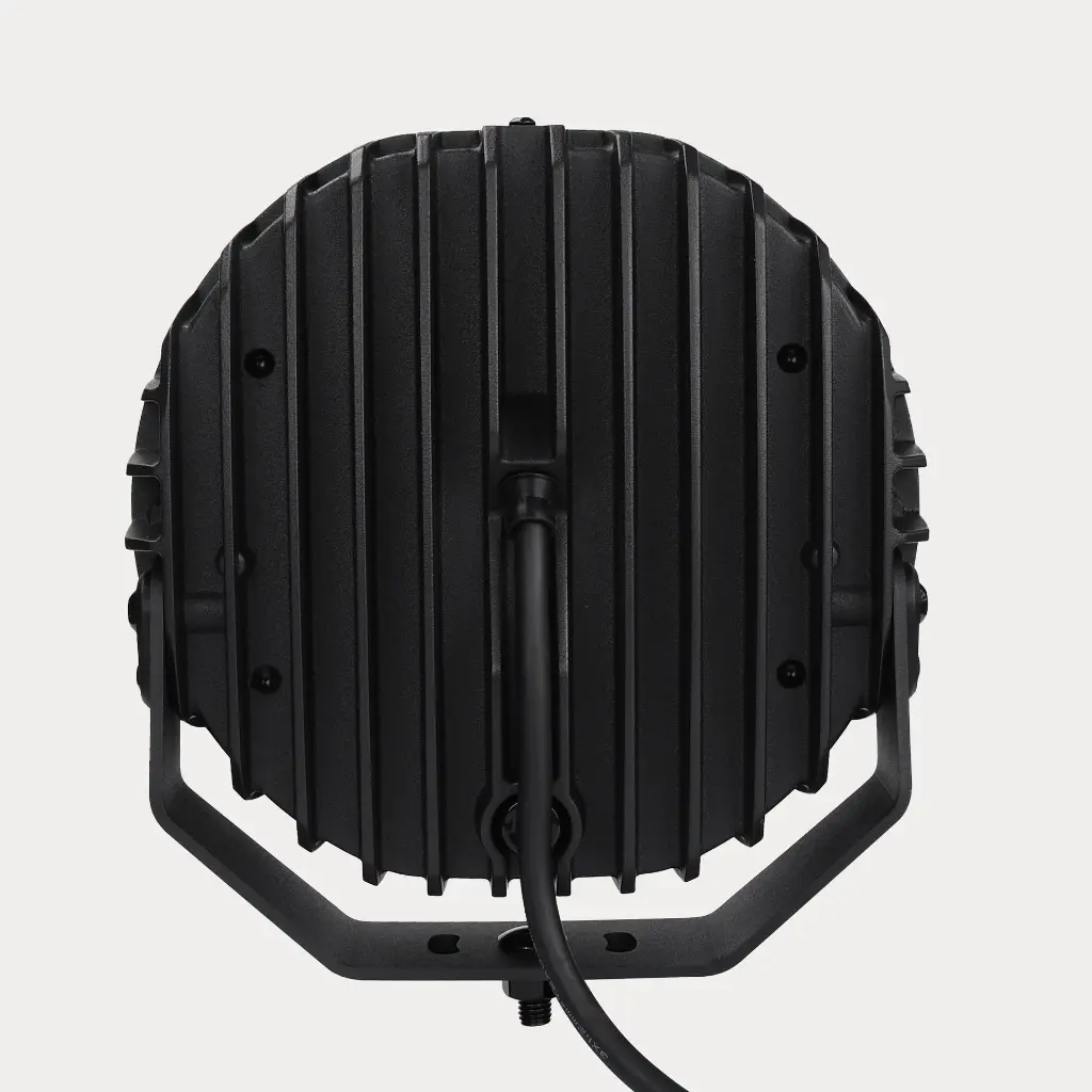 88101-back (1).webp