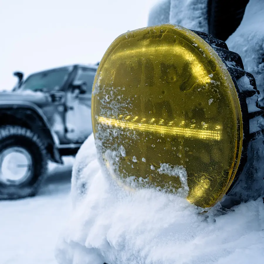 yellow (1).webp