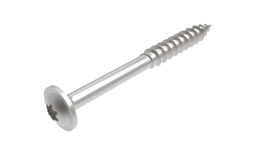 Tellerkopschroef, roestvrij staal (6,0 x 60mm)